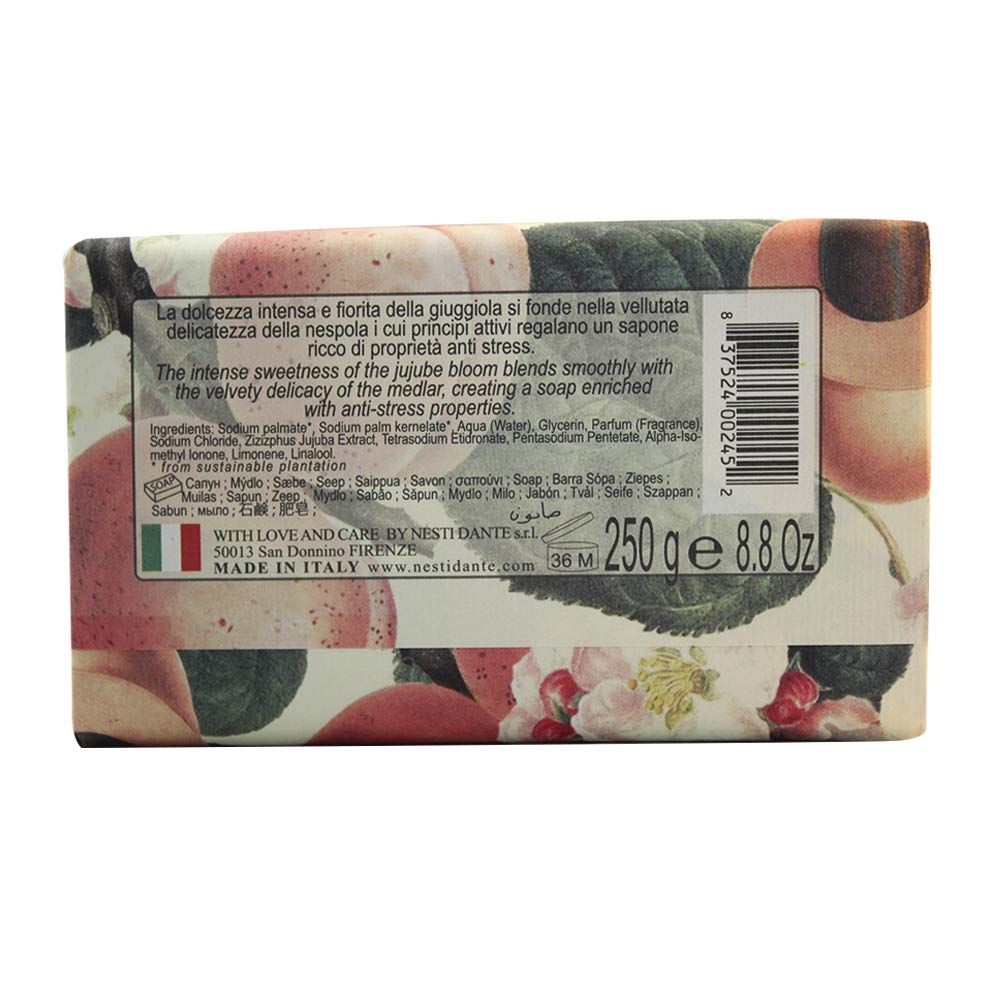 Nesti Dante Il Frutteto Medlar and Jujube 250g