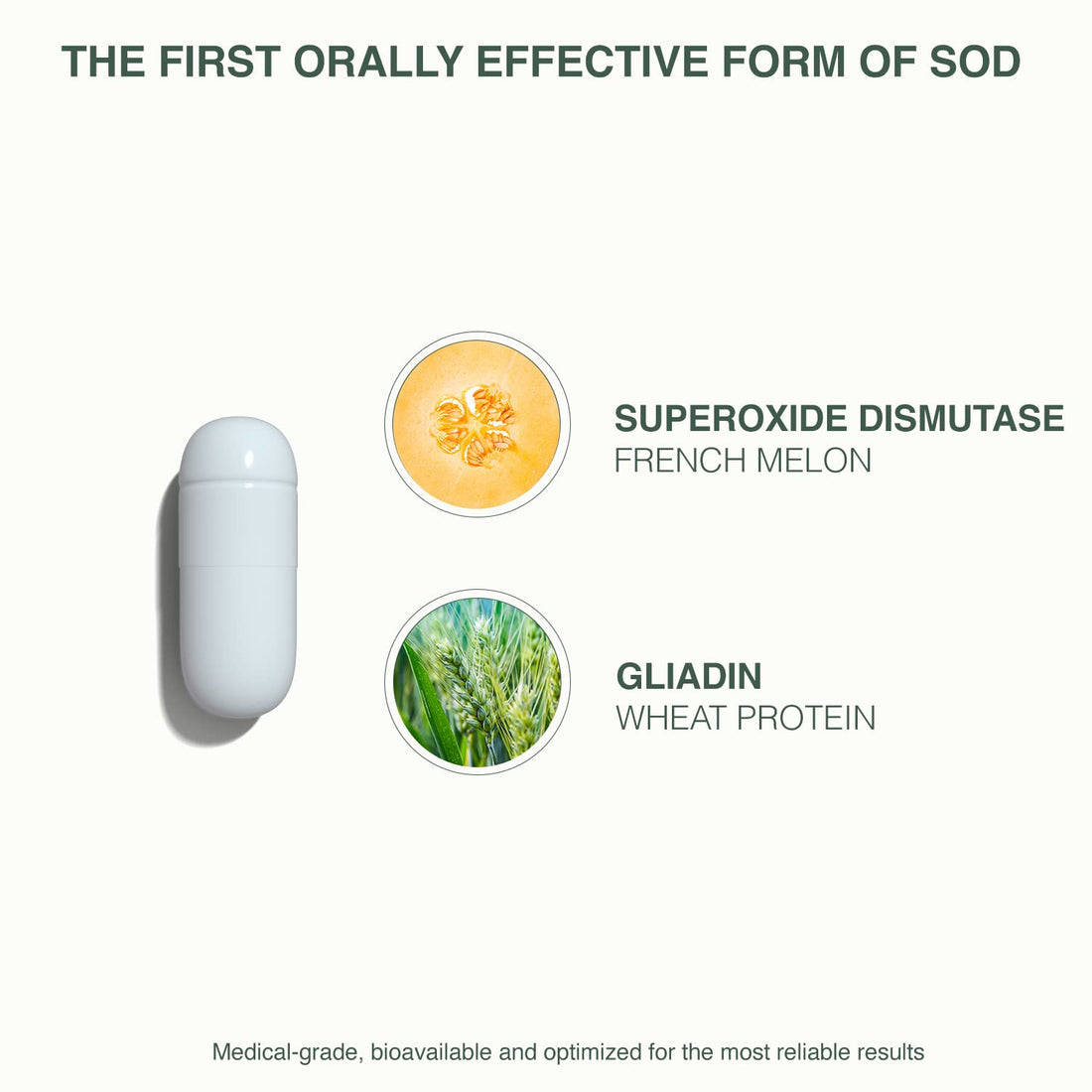 GliSODin Skin Nutrients The Antioxidant Enzyme – Protection Against Free Radical Damage - Reduces Oxidative Stress - 60 capsules – 1 Month Supply