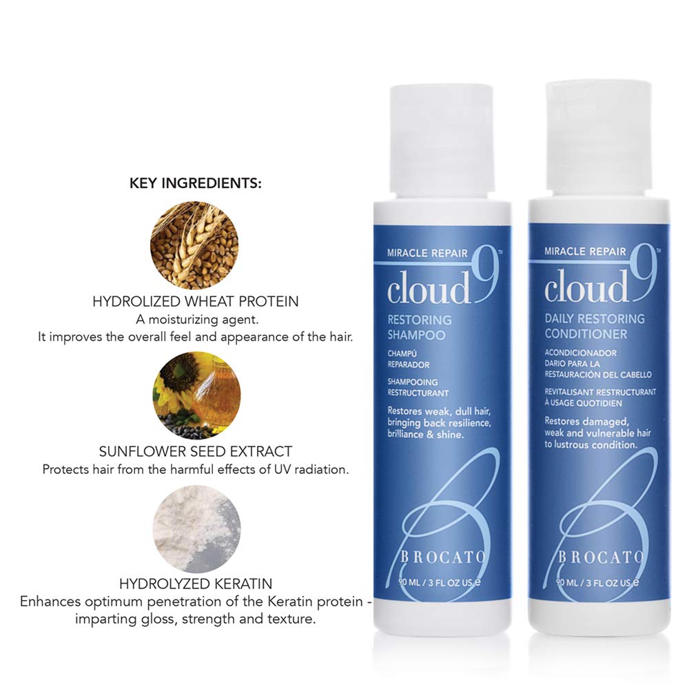 Value Bundle: Vibrastrait PRO 1-inch Vibrating Flat Iron with Travel Case & Travel Size Cloud 9 Shampoo & Conditioner