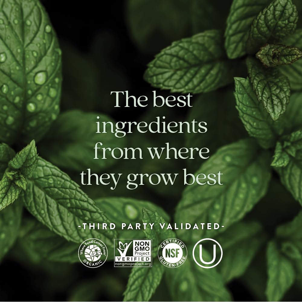 New Chapter Women's Multivitamin 50 Plus for Cellular Energy, Heart & Immune Support with 20+ Nutrients + Astaxanthin - Every Woman's One Daily 55+, Gentle on The Stomach, 48 Count