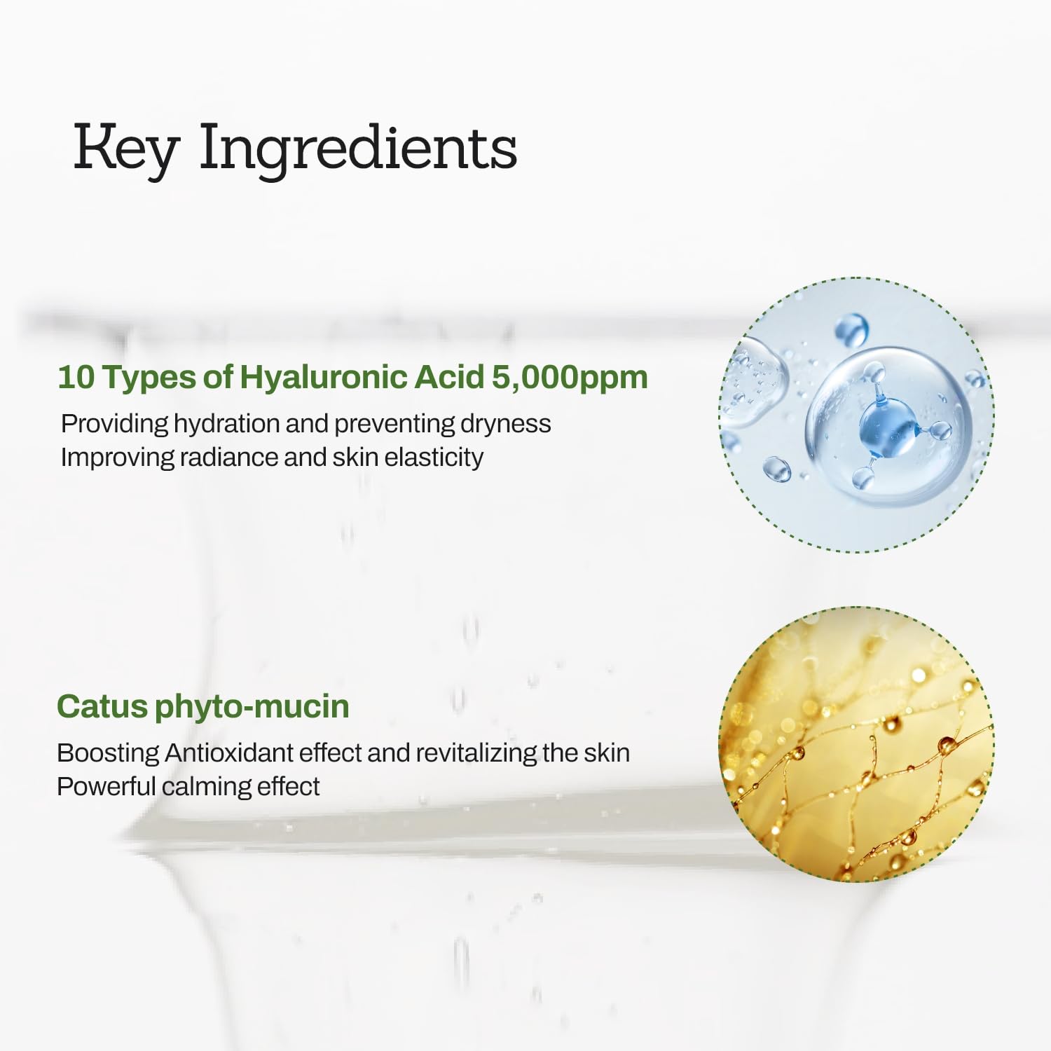 Cactus Mucin Hyaluronic Serum - Korean Hyaluronic Acid Serum for Face - Hydrates 10 Layers Deep with Moisture-Locking Effect, Repairs Skin Barrier - Vegan Serum for Dry and Sensitive Skin, 1.01 fl.oz