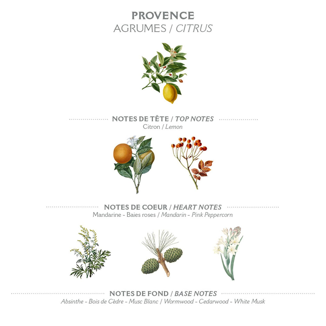 Panier Des Sens Eau de Parfum Provence