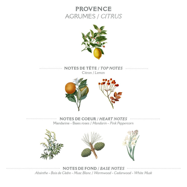Panier Des Sens Eau de Parfum Provence