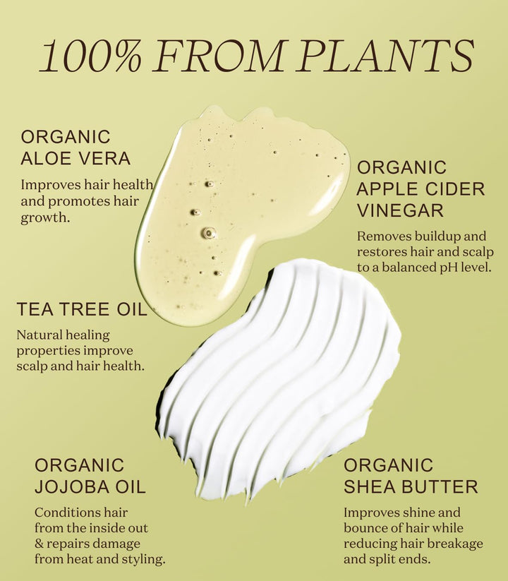 Ingreendients Non Toxic Vegan Shampoo and Conditioner with Organic Ingredients, Apple Cider Vinegar, Tea Tree Oil - Color Safe, Paraben & Gluten Free, Silicone & Sulfate Free, pH Balanced