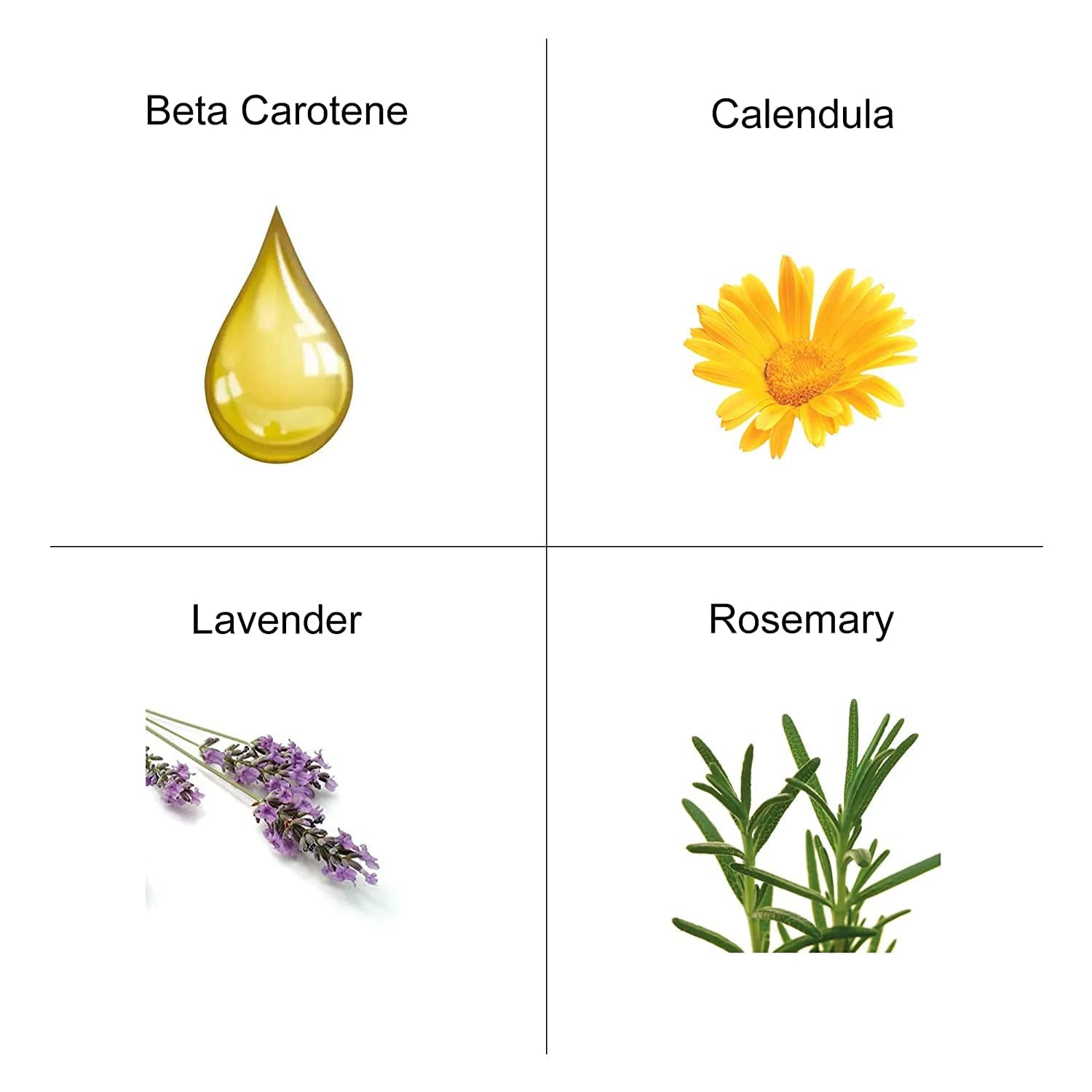 Carrot Butter Cleanser 75 ml by The Organic Pharmacy