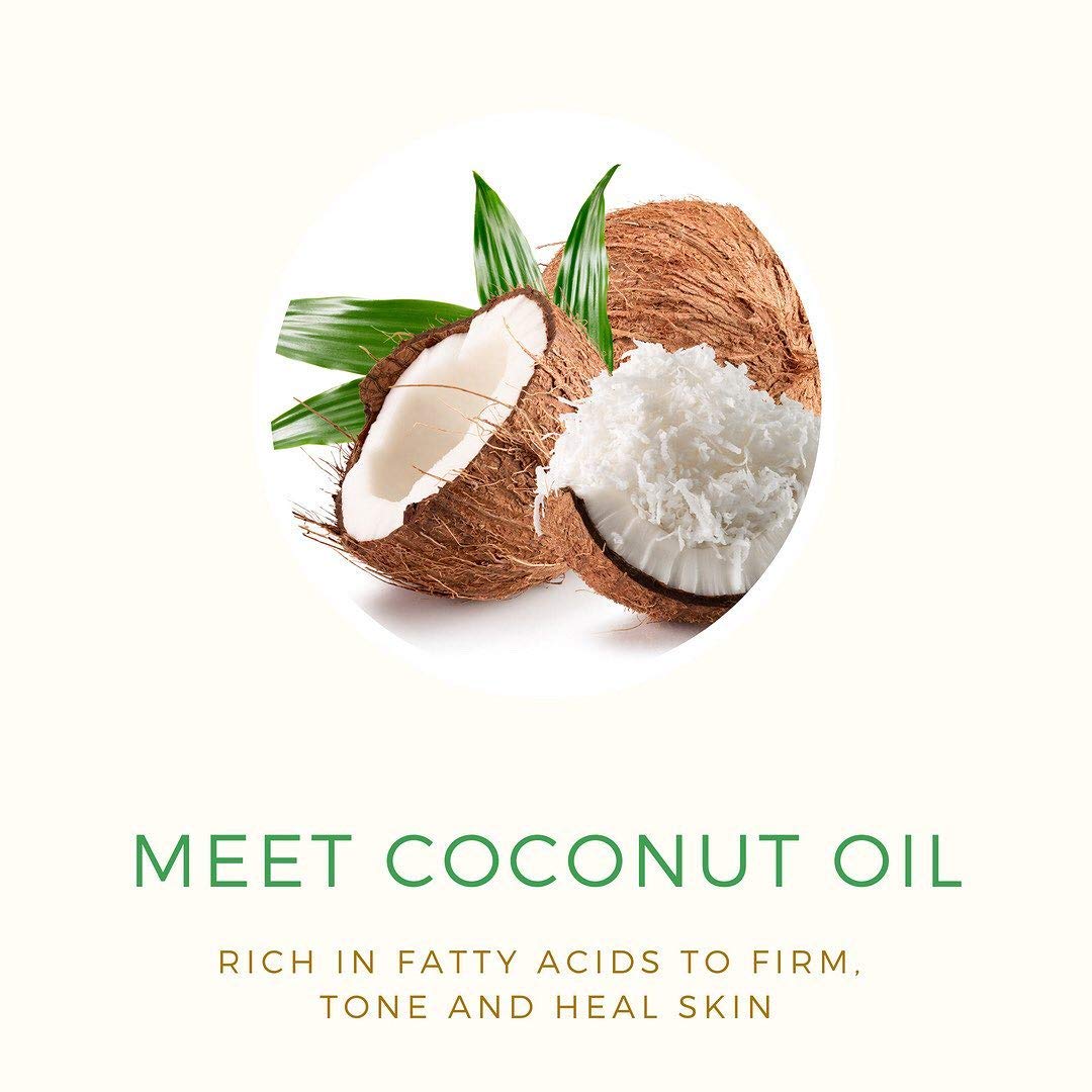 PURE FIJI Dilo and Aloe Vera After Sun Spray Lotion - Spray Moisturizer for Body Helps After Sunburn- After Sun Moisturizing Spray for All Type Skin, 8 oz