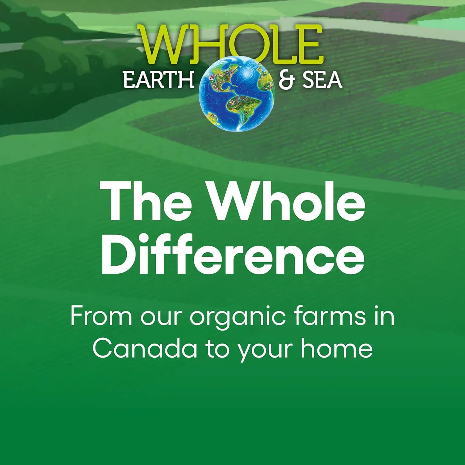 Natural Factors Whole Earth & Sea Men's Multivitamin & Mineral, 1 Serving Contains Nutrition Equivalent to ½ lb of Veggies, 120 Tablets