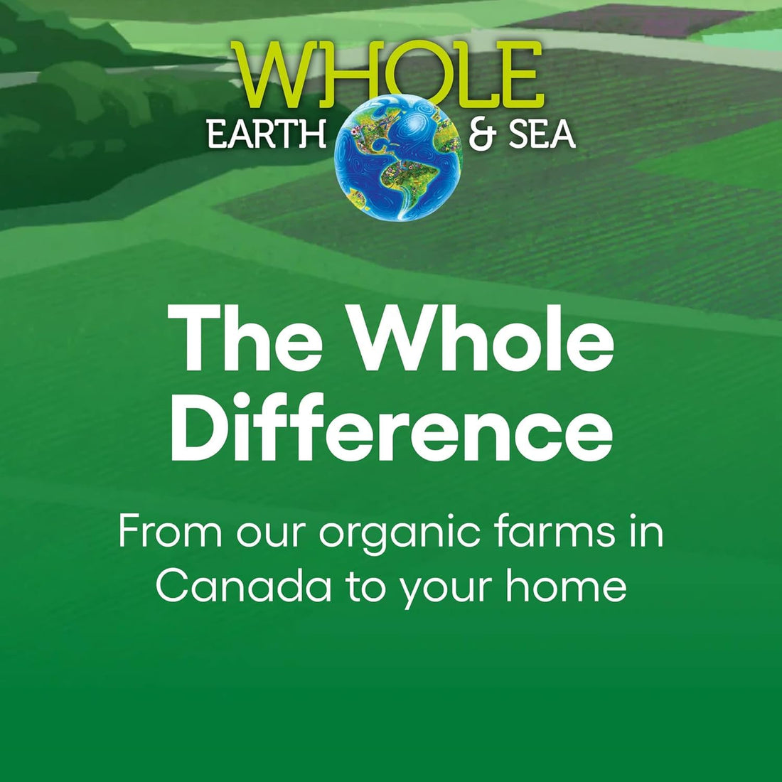 Natural Factors Whole Earth & Sea Men's Multivitamin & Mineral, 1 Serving Contains Nutrition Equivalent to ½ lb of Veggies, 120 Tablets