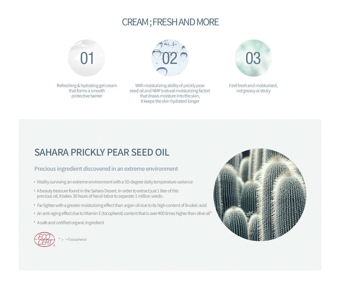 Huxley Huxley secret of sahara cream - fresh and more, 50 ml/1.69 fl oz, 1.69 Fluid Ounce