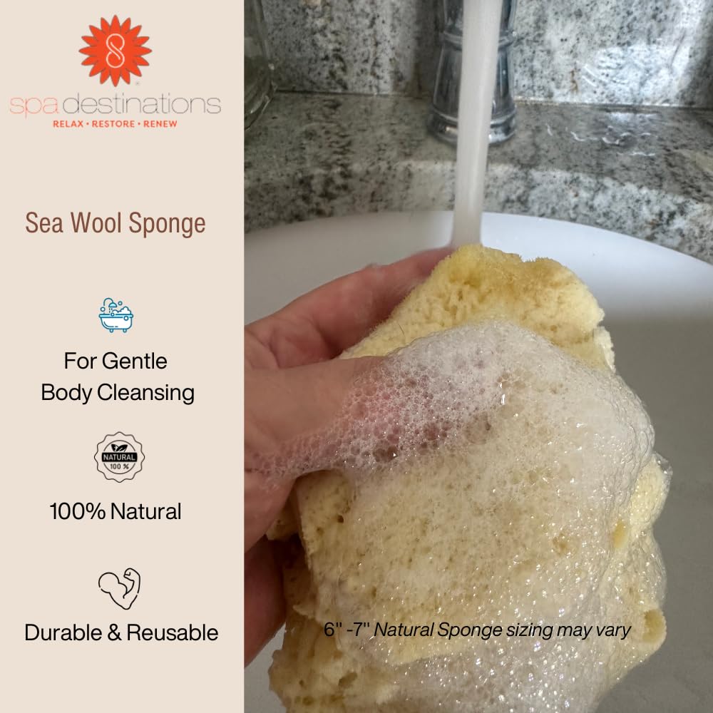 Natural Sea Wool Sponge 4-5 by Spa Destinations Amazing Natural Renewable Resource Creating The In Perfect Bath and Shower Experience 100% Satisfaction Guarantee!