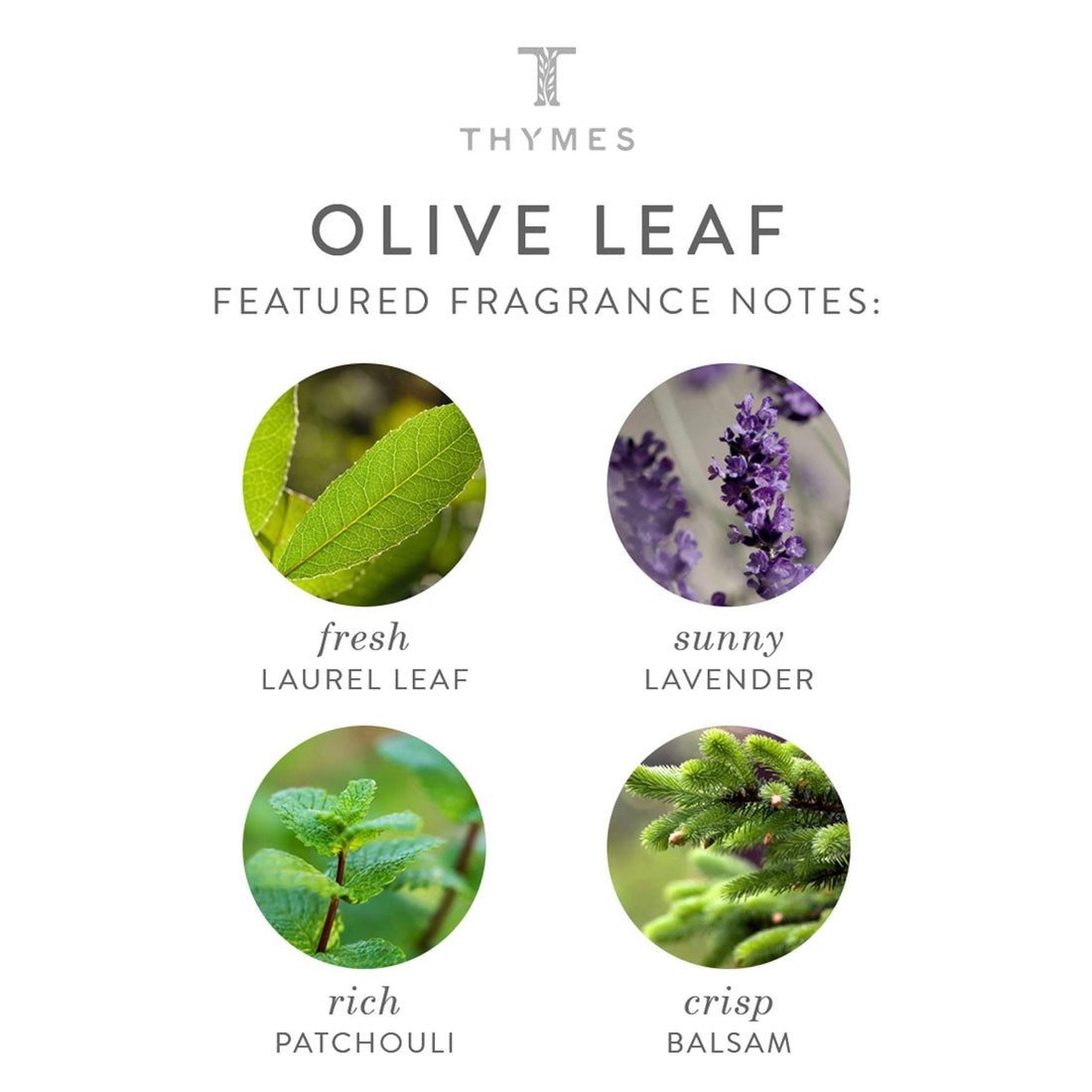 Thymes - Olive Leaf Hand Crme - Deeply Moisturizing Cream with Natural OIive Oil - 3 oz