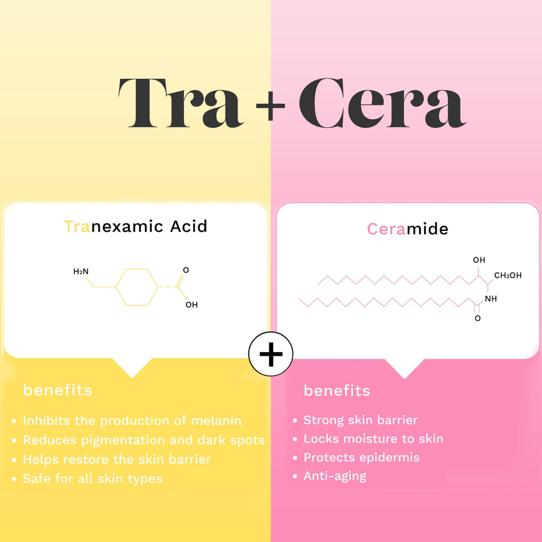 SKINRxLAB TraCera Ampoule - Dark Spot & Tone Correcting Face Serum - Vitamin C and Ceramide - Control Melanin, Blemishes and Freckles - Anti Aging Serum for Smooth, Moisturizing Finish, 1.69 fl.oz.