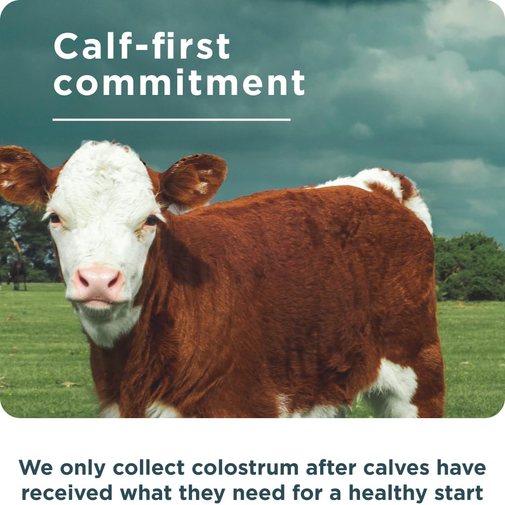 Ancient Nutrition Colostrum Superfood + Collagen, Grass Fed Bovine Colostrum, Fermented Eggshell Membrane Collagen, Supports Healthy Gut Microbiome and Immune System, 75 Count