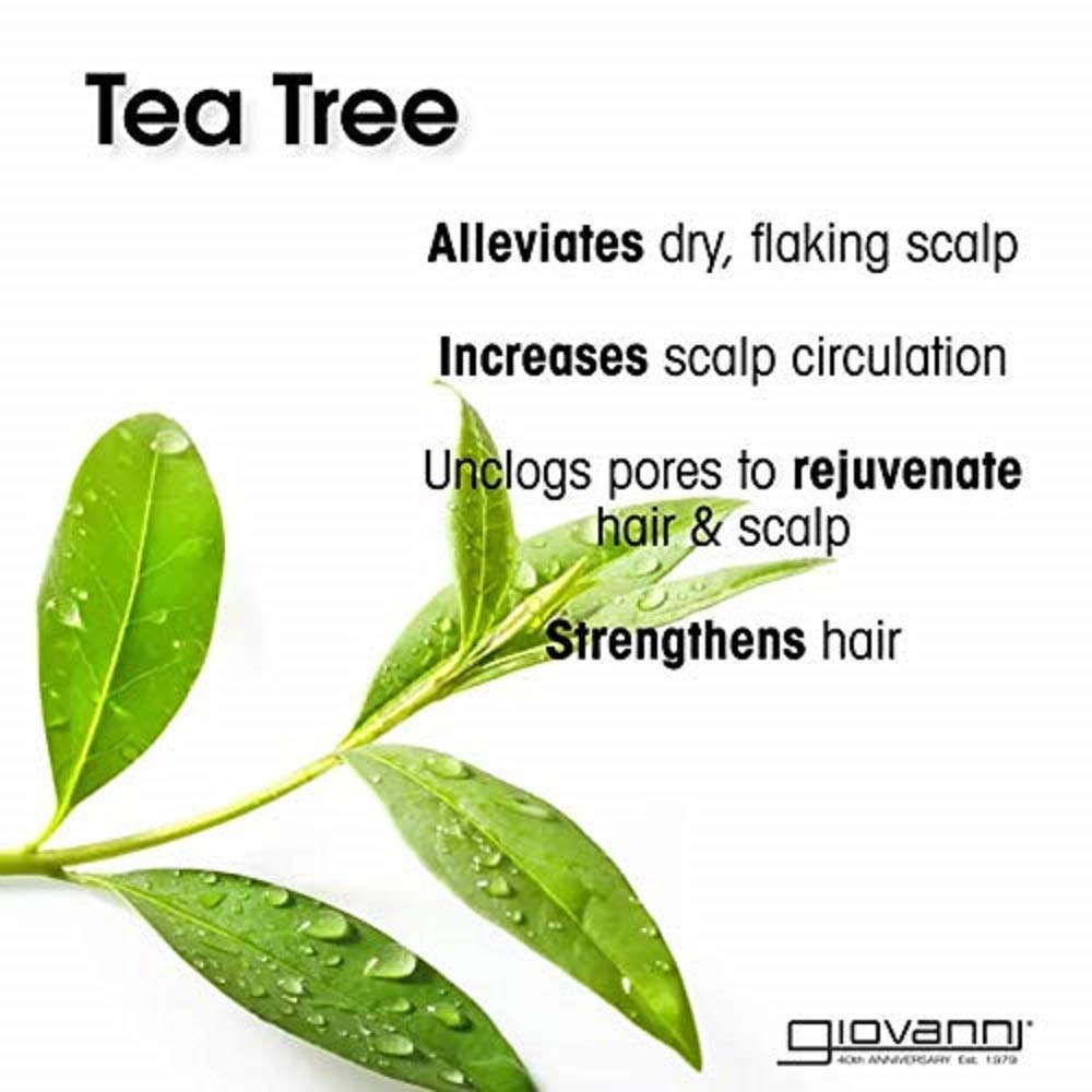 Giovanni Invigorating Shampoo Tea Tree Triple Treat 8.5-Ounce Bottles (Pack of 3)