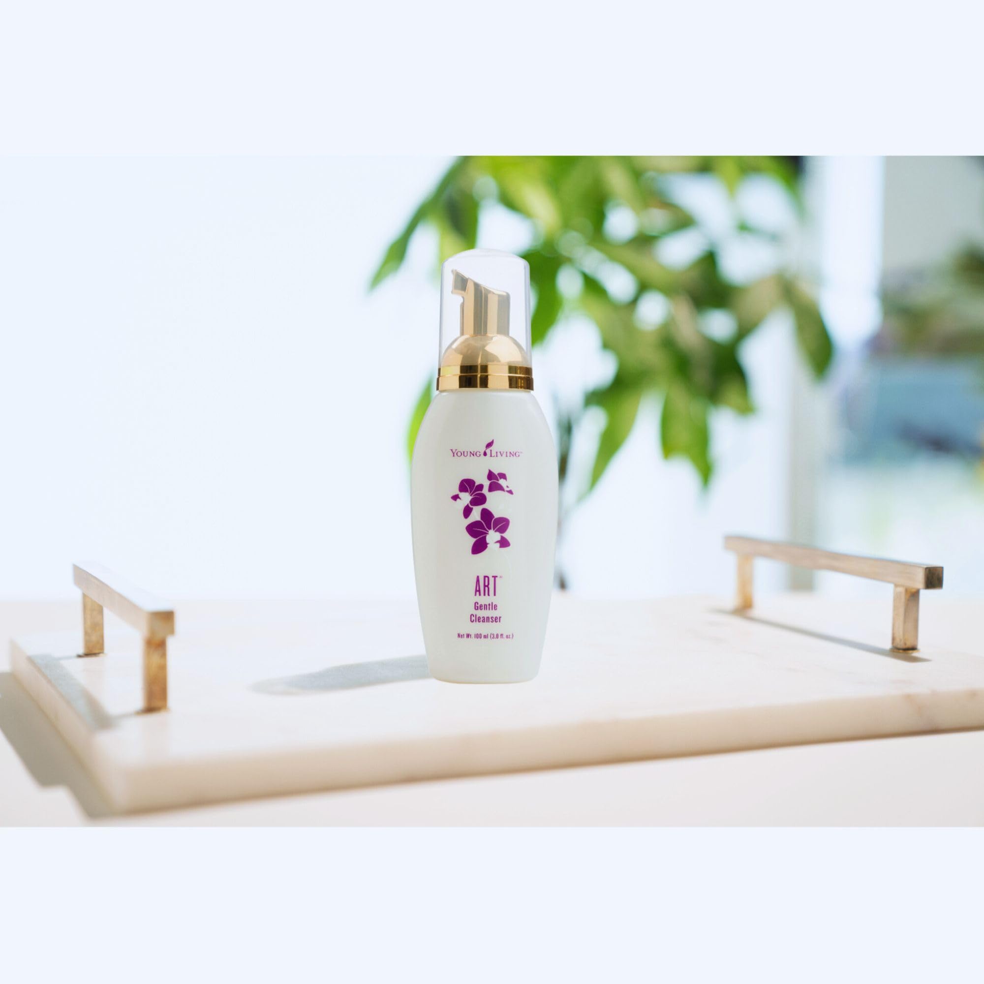 A.R.T. Gentle Foaming Cleanser by Young Living - 3.38 fl. oz