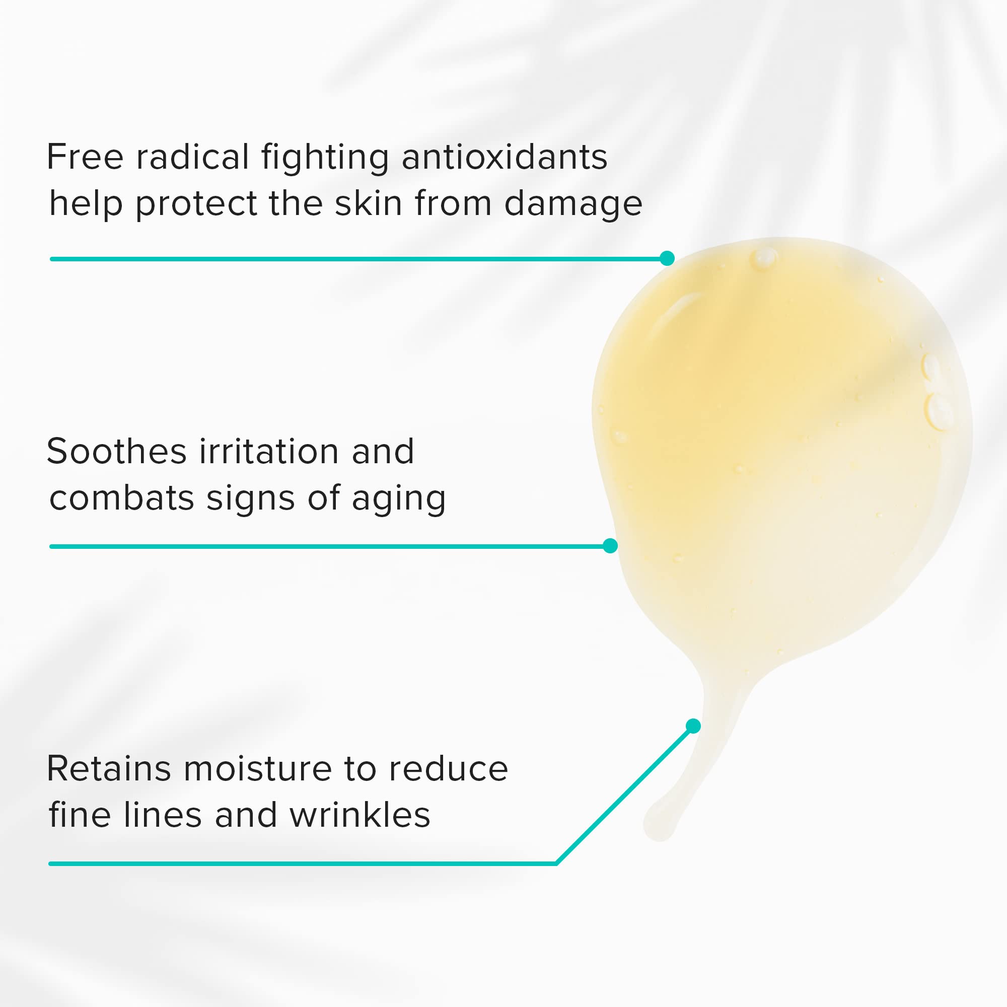 ClarityRx Take Care Daily, Plant Based Antioxidant Serum with Red Tea for All Skin Types, Hydrates & Protects Skin, Paraben Free, Natural Skin Care (1 fl oz)