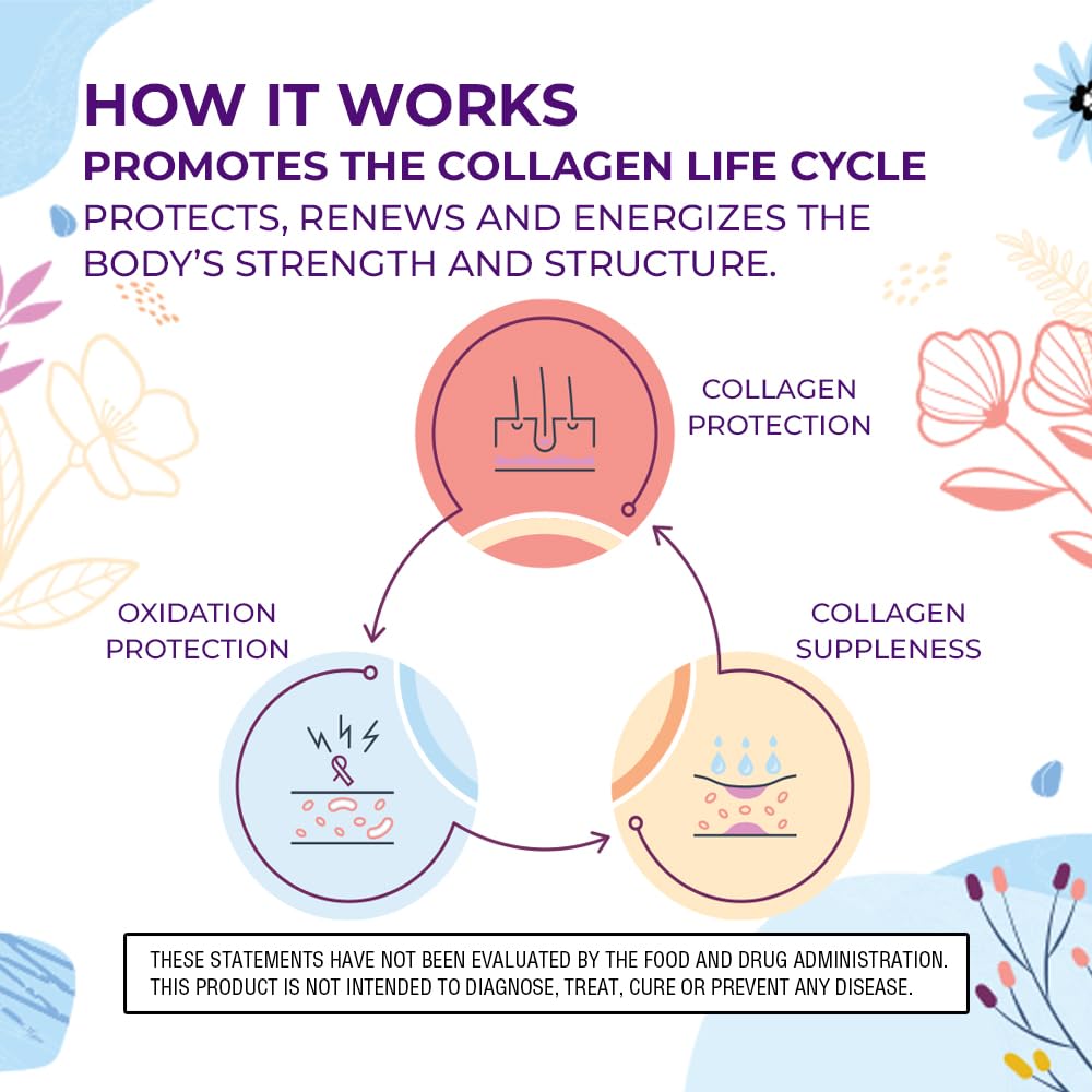 Body Kitchen Youthful Beauty Advanced, Collagen Peptides Powder for Beautiful Hair Skin Nails, Resveratrol and Hyaluronic Acid for Anti-Aging & Antioxidant Support, Grass Fed (Pack of 1)