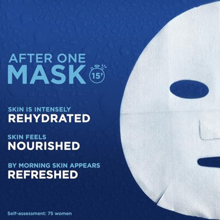 Garnier Moisture Bomb Night Sheet Face Mask (6)