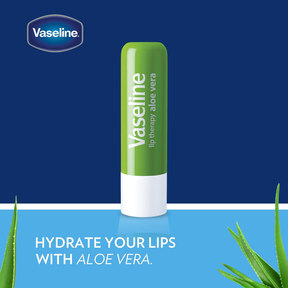 Vaseline Lip Therapy Aloe Fresh 12-Pack – Moisturizing Lip Balm for Very Dry Lips, 0.16 Oz Ea