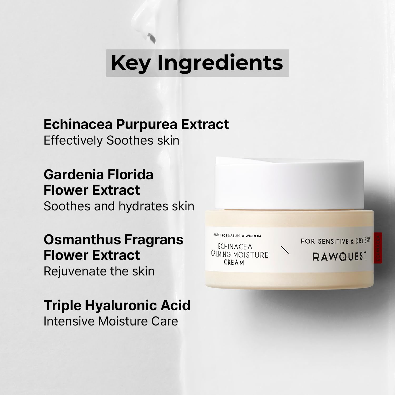 RAWQUEST- Echinacea Calming Moisture Night Cream Balm for Brightening, Anti-Aging, Wrinkle Improvement, Skin Barrier Repair & Hydration | Korean Skincare for Dry & Sensitive Skin (1.7 Fl Oz/ 50 ml)