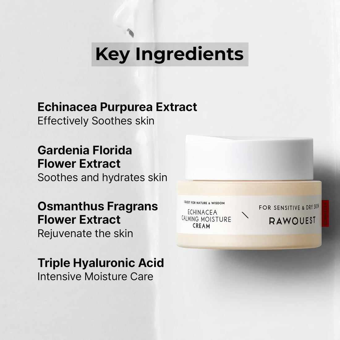 RAWQUEST- Echinacea Calming Moisture Night Cream Balm for Brightening, Anti-Aging, Wrinkle Improvement, Skin Barrier Repair & Hydration | Korean Skincare for Dry & Sensitive Skin (1.7 Fl Oz/ 50 ml)