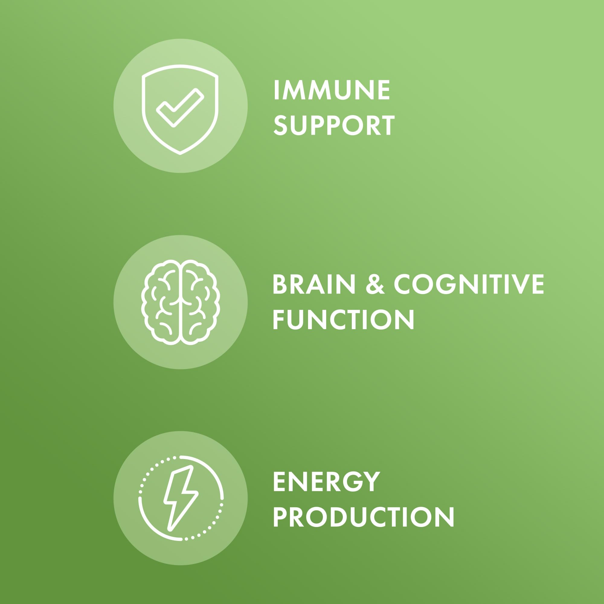 Dr. Mercola Multivitamin Mini-Tabs, 30 Servings (300 Tablets), with 8 Key Nutrients, Dietary Supplements, Supports Immune and Brain Health, Non-GMO