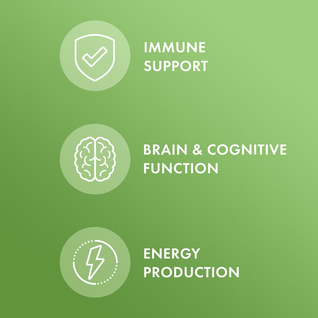 Dr. Mercola Multivitamin Mini-Tabs, 30 Servings (300 Tablets), with 8 Key Nutrients, Dietary Supplements, Supports Immune and Brain Health, Non-GMO