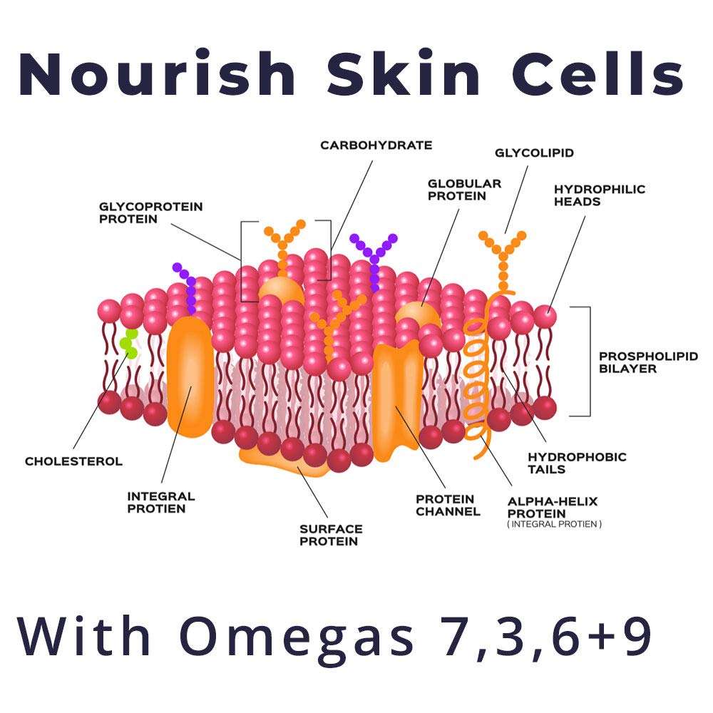 Seabuckwonders Sea Buckthorn Body Lotion, 6 Ounce