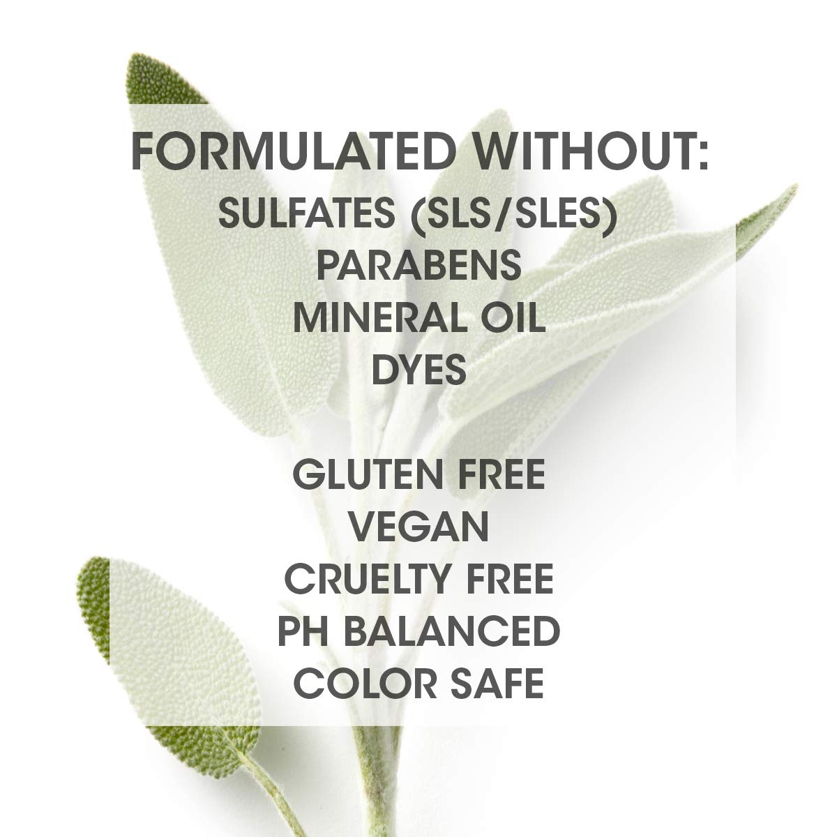 SEVEN Hair Care Cubica Clarifying Shampoo for Women & Men, Detox and Minimize Dry Scalp + Buildup with Rosemary, Eucalyptus & Rose Hip Oil, Cruelty Free, Sulfate Free, Made in USA, 7 oz