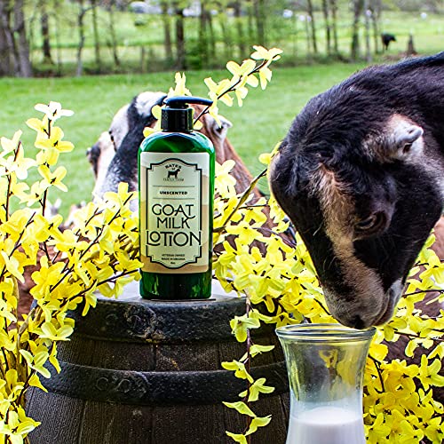 Bates Family Farm Goat Milk and Shea Butter Lotion 8 Oz (Unscented)