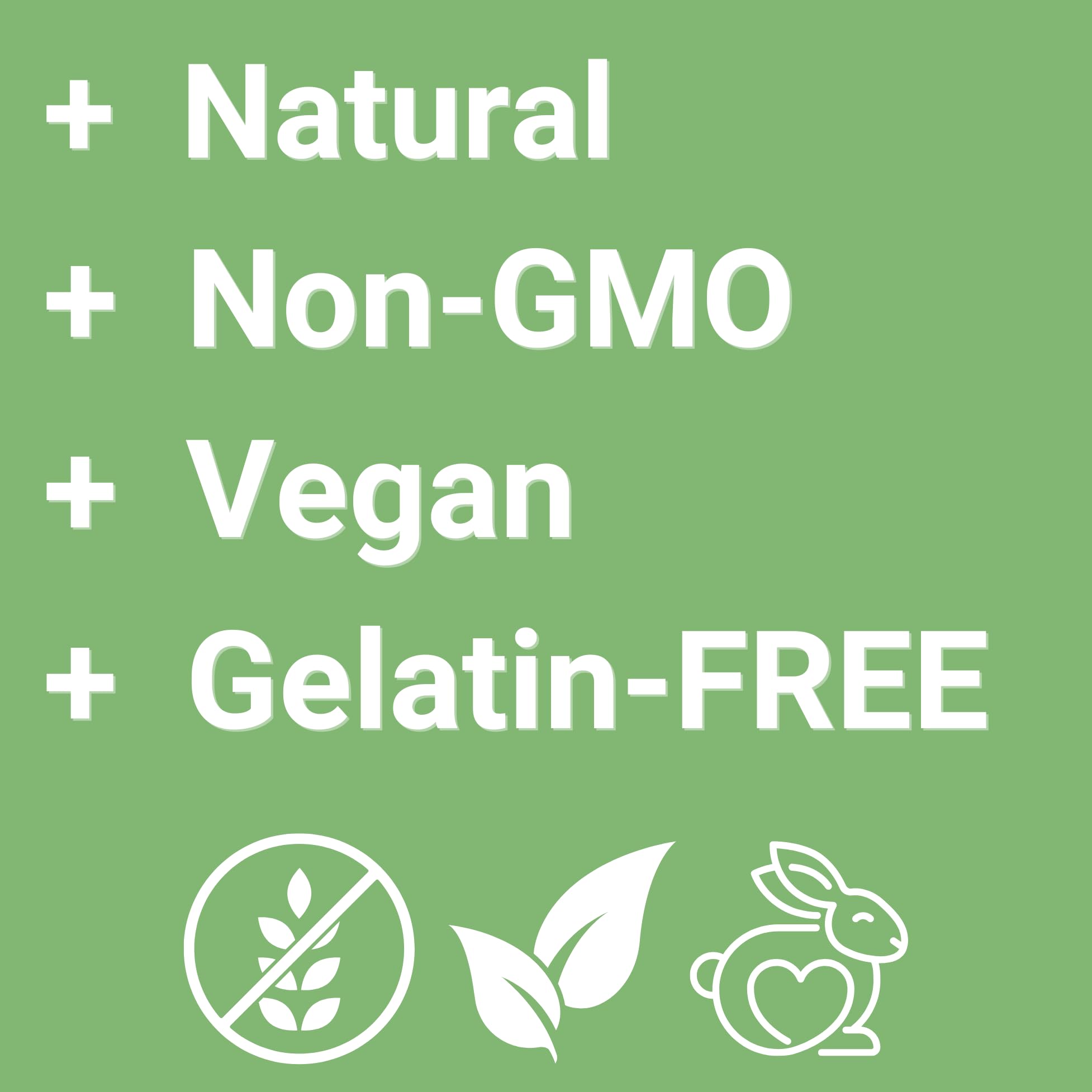 Yuve Vegan Probiotic Gummies, Probiotics for Women & Men, Sugar & Gluten-Free Gummy Probiotics, Digestive & Immune Support, 5 Billion CFU, Helps with Constipation, Bloating & Leaky Gut, Non-GMO - 60ct