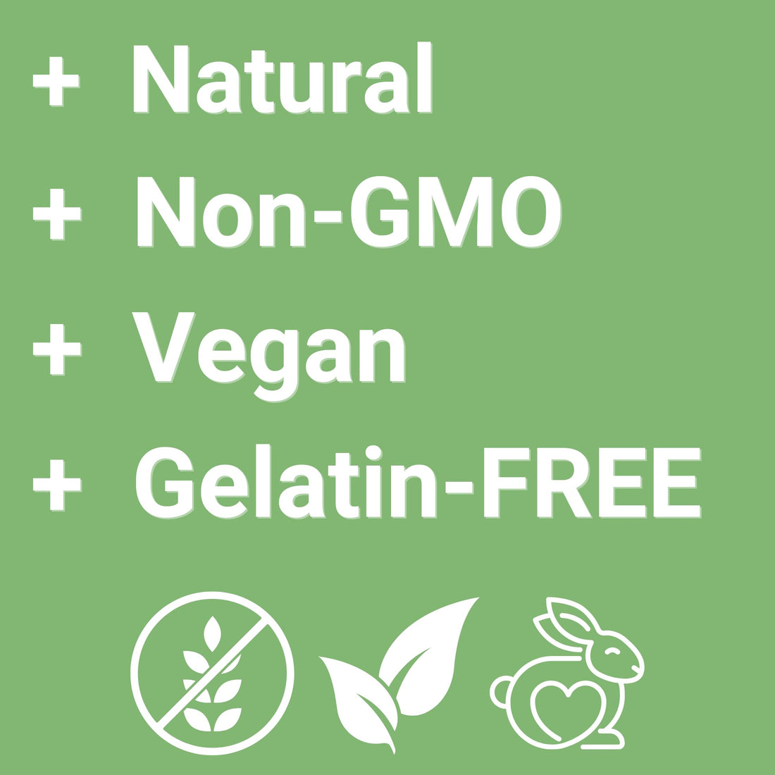 Yuve Vegan Probiotic Gummies, Probiotics for Women & Men, Sugar & Gluten-Free Gummy Probiotics, Digestive & Immune Support, 5 Billion CFU, Helps with Constipation, Bloating & Leaky Gut, Non-GMO - 60ct