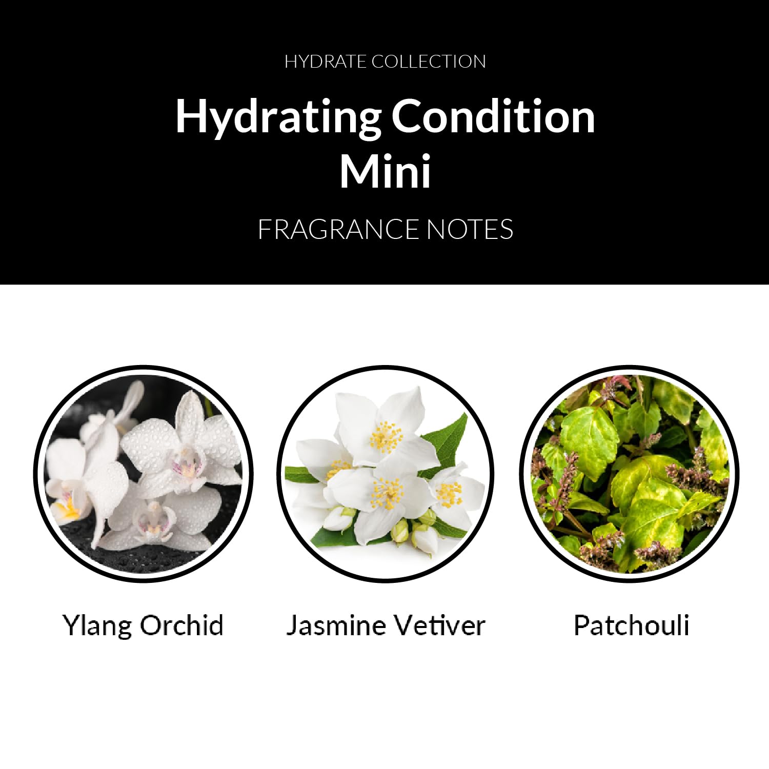 Number 4 Mini Hydrating Condition. Travel Size Deep Hydrating Conditioner. Lightweight, Dentangling, Color Protecting, 1.5 oz