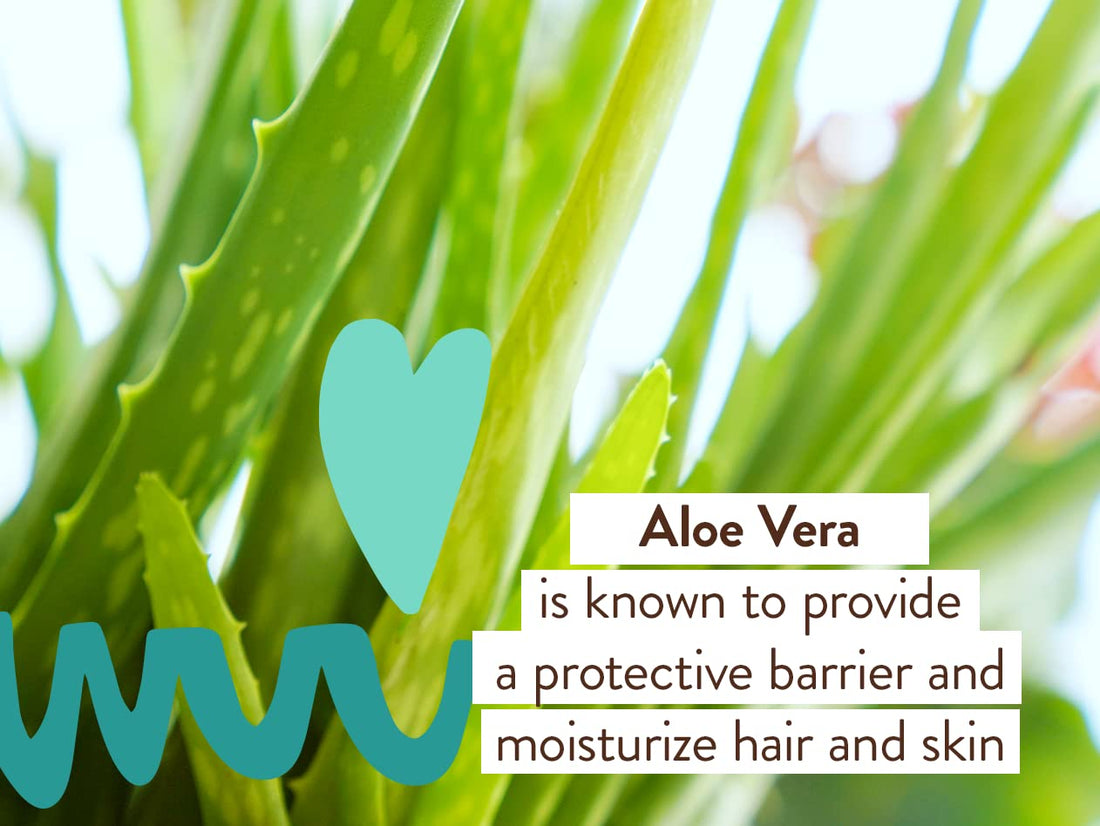 Babo Botanicals Eucalyptus Remedy Shampoo & Wash - Invigorating Eucalyptus & Rosemary Essential Oils -For all Ages - EWG Verified - Vegan - Cruelty Free