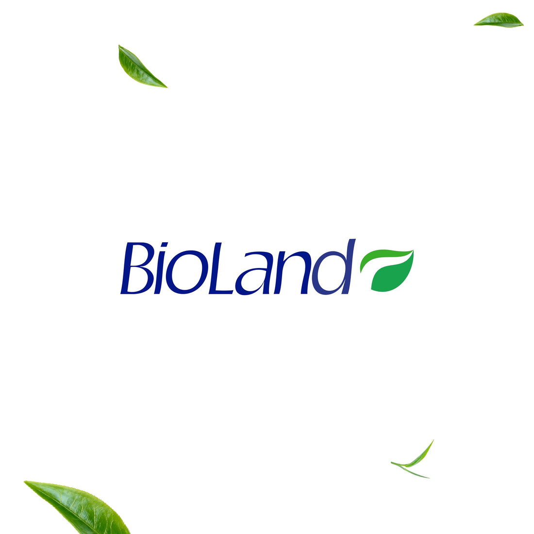 BioLand Coconut Milk Shampoo - Nourishing & Defining Shampoo for Curly & Dry Hair - 13.53 fl oz (400mL)