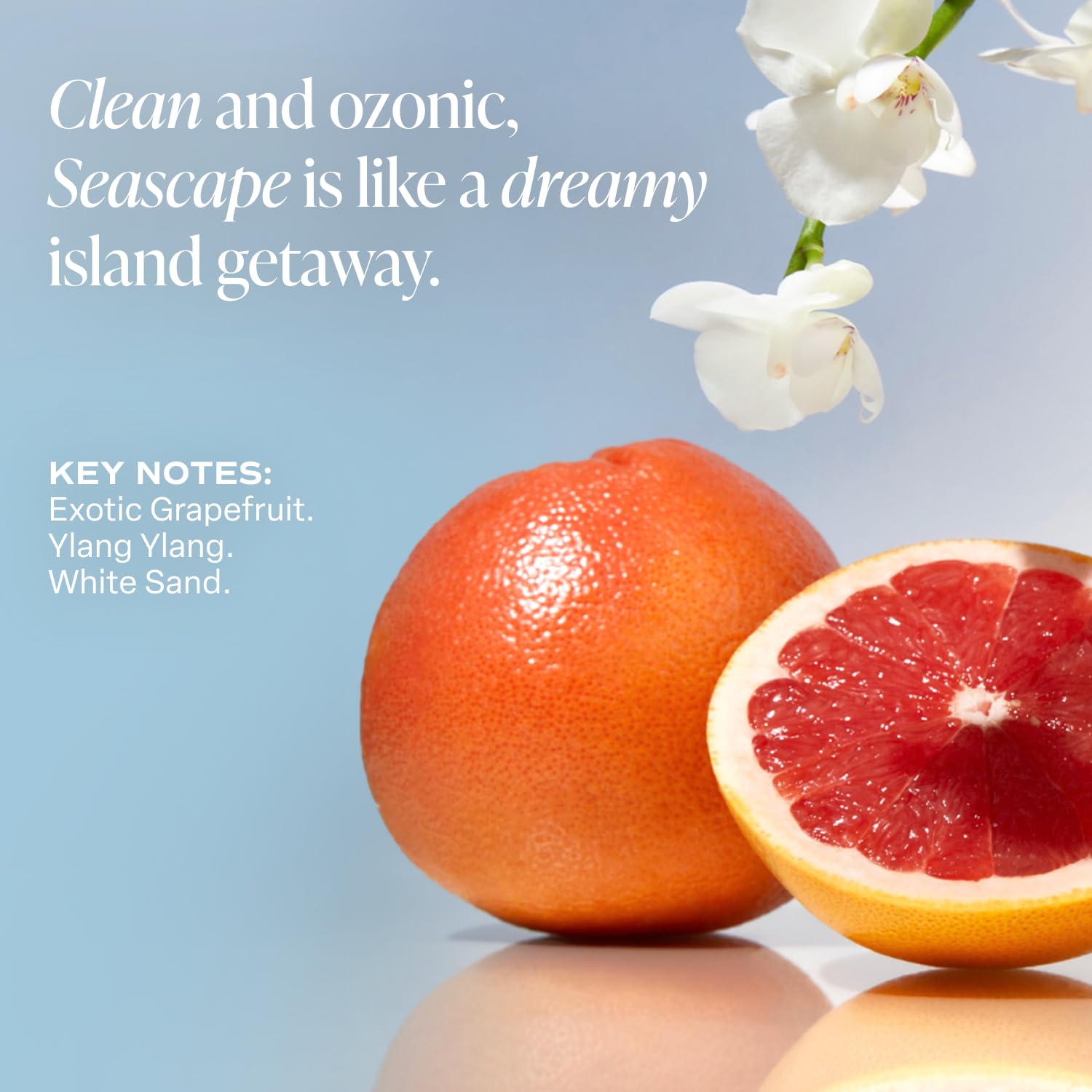 Saltair Body Wash, Seascape 2-Pack. Moisturizing Body Cleanser with Monoi Oil and Cupuacu Butter. Luxury Shower Gel for Women and Men. Vegan, Cruelty-Free, Paraben-Free. 2x 17oz Pump Bottles