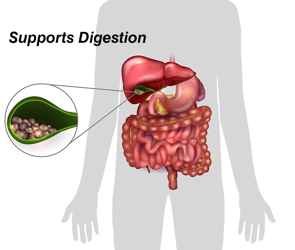 DrFormulas 18 Digestive Enzymes to Support Gallbladder and Pancreatic Enzymes with Amylase, Protease, Lipase, Lactase, Cellulase, Bromelain 60 Capsules
