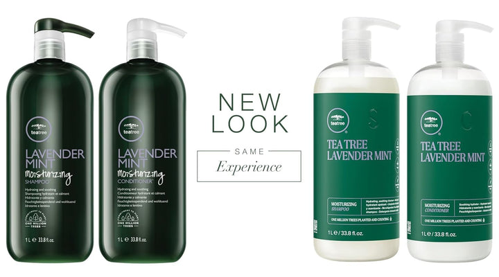 Tea Tree Lavender Mint Shampoo and Conditioner Duo Set