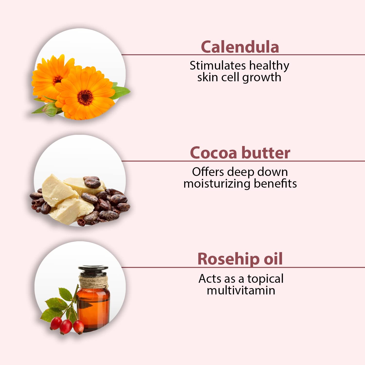 All Good Hand & Body Lotion - Moisturizing Organic Lotion for Dry Skin - Jasmine Oil, Cocoa Butter, Rosehip Oil, Arnica, Vitamin E - Non-Greasy Body Butter, 6 fl oz (Jasmine Rose)