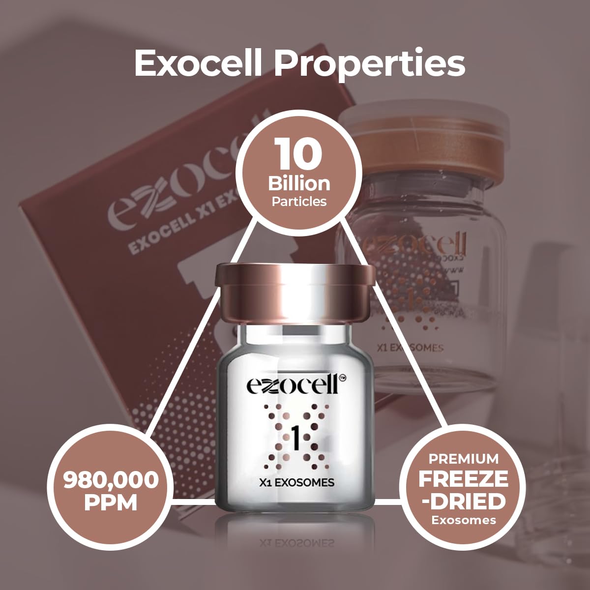 EXOCELL Exosomes for Skin Rejuvenation and Anti-Aging, 10 Billion Particles, 980K PPM, Korean Beauty Formula (X1 Exosomes + X2 HA Solution)