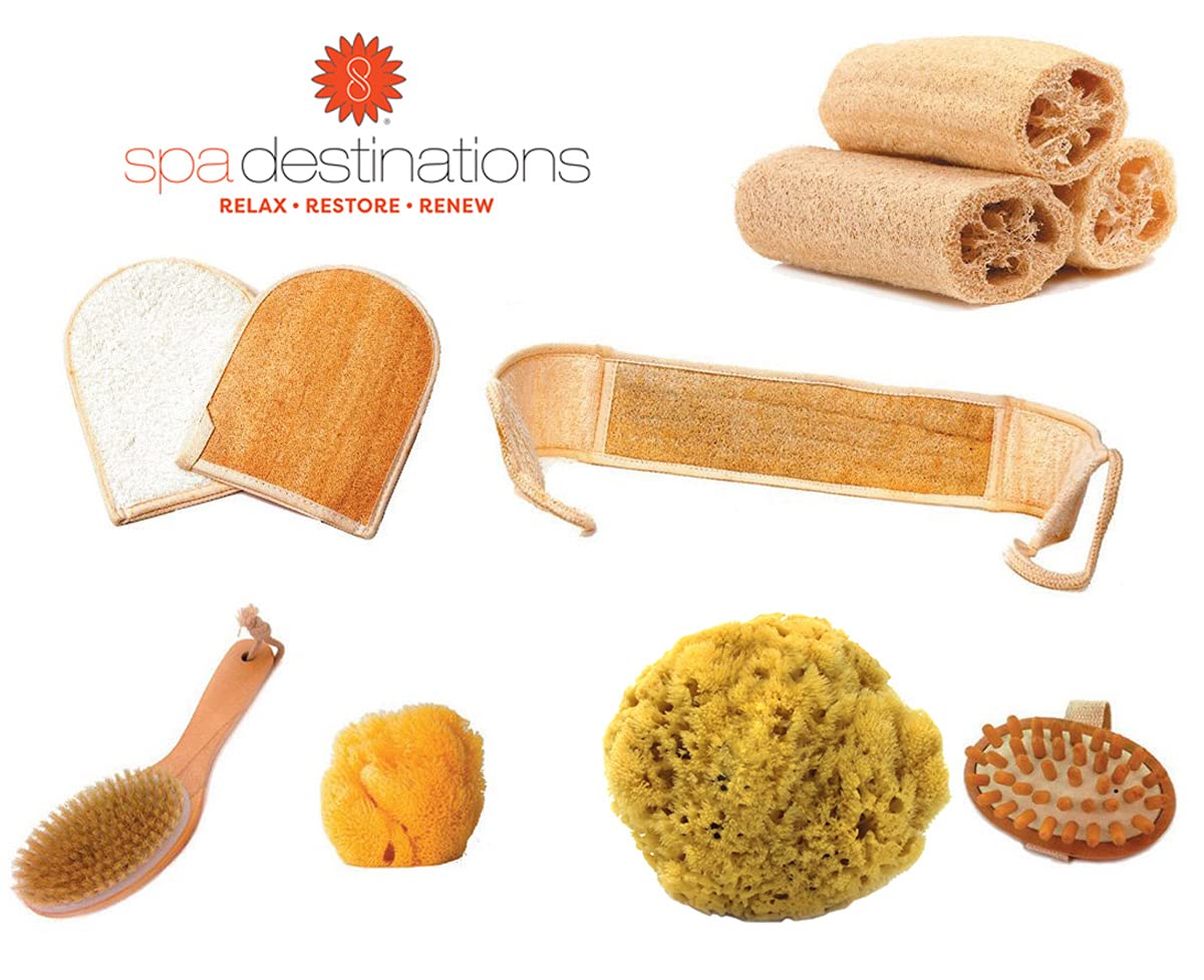 Cellulite Massage & Circulation Brush by Spa Destinations Creating The In Home Spa Experience Best Quality! Best Value!