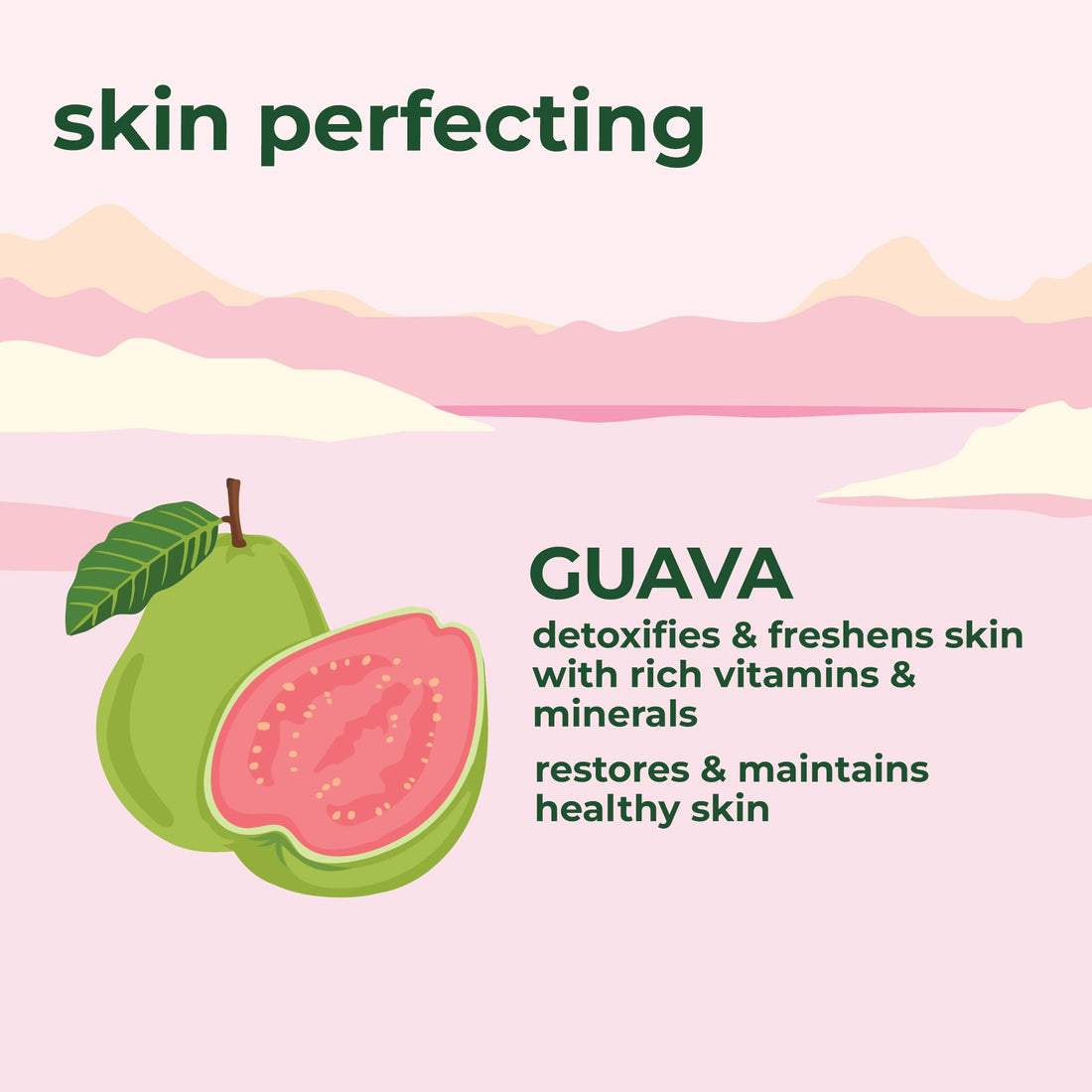 Petal Fresh Pure Perfecting Guava Nectar Body Butter - 237ml | Shea Butter, Argan Oil & Coconut Oil | No Mineral Oil, Silicones or Color | 100% Vegan, Cruelty Free