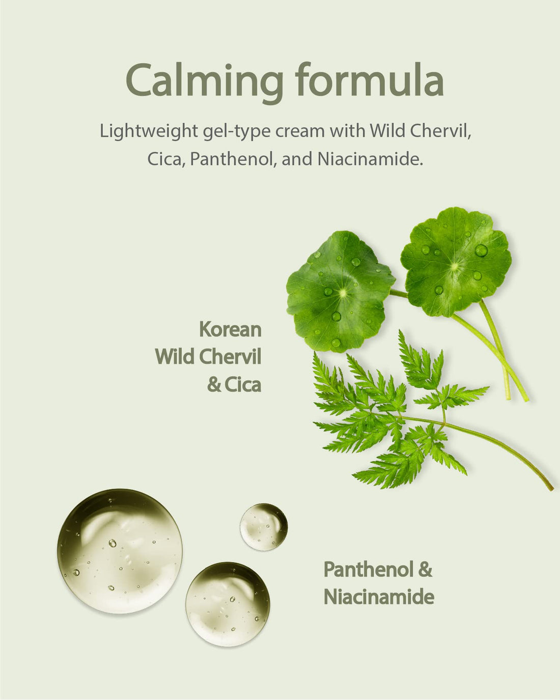 BEYOND Korean Cica Cream Moisturizer Gift set (2 PACK) - Mild Soothing Moisturizer, Wild Chervil Extract, Niacinamide - Hydration & Light Cream