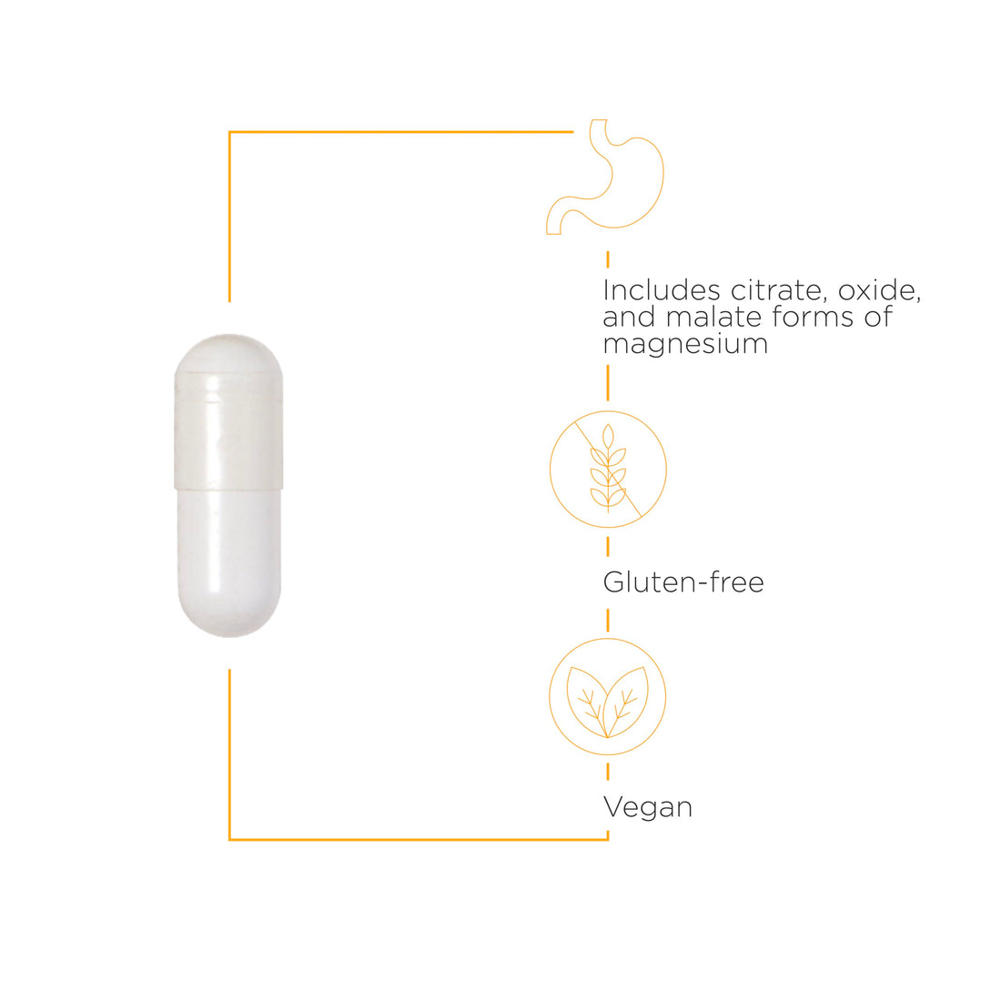 Integrative Therapeutics Tri-Magnesium - Supports Healthy Bones & Teeth* - Supports Cardiovascular & Neurological Function* - Promotes Calm* - 90 Capsules