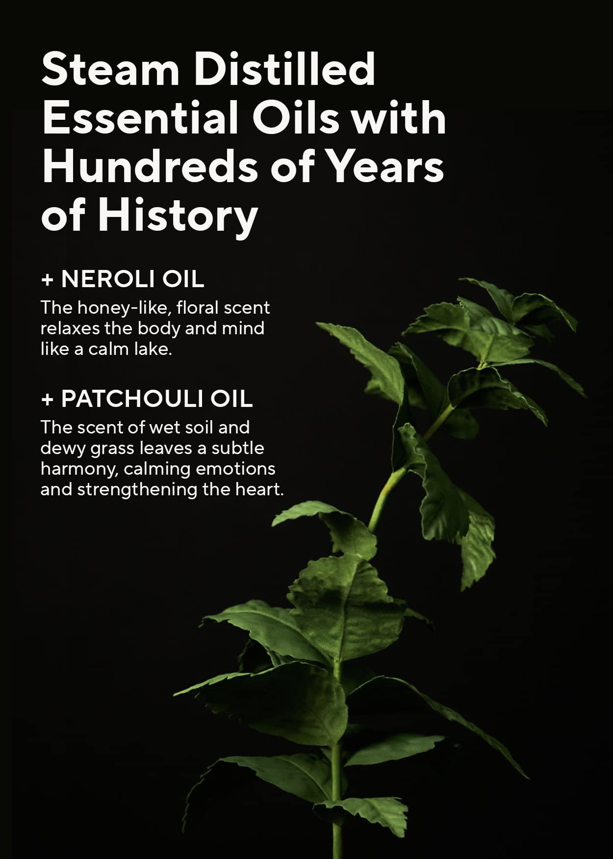 AROMATICA Embrace Body Lotion Neroli & Patchouli 10.14oz / 300ml, Vegan | Naturally-derived Aromatic Fragrance | Soothing & Moisturizing Body Lotion