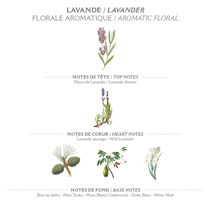 Panier des Sens Lavender Eau de Toilette - 1.7floz/50ml
