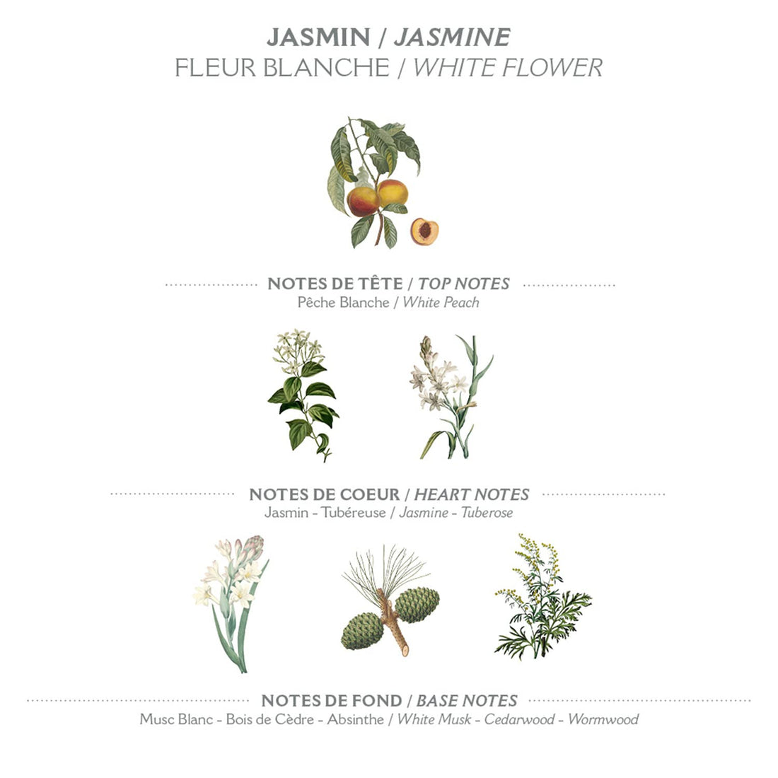 Panier Des Sens Precious Jasmine Mini Hand Cream 30ml (1 f.oz.)