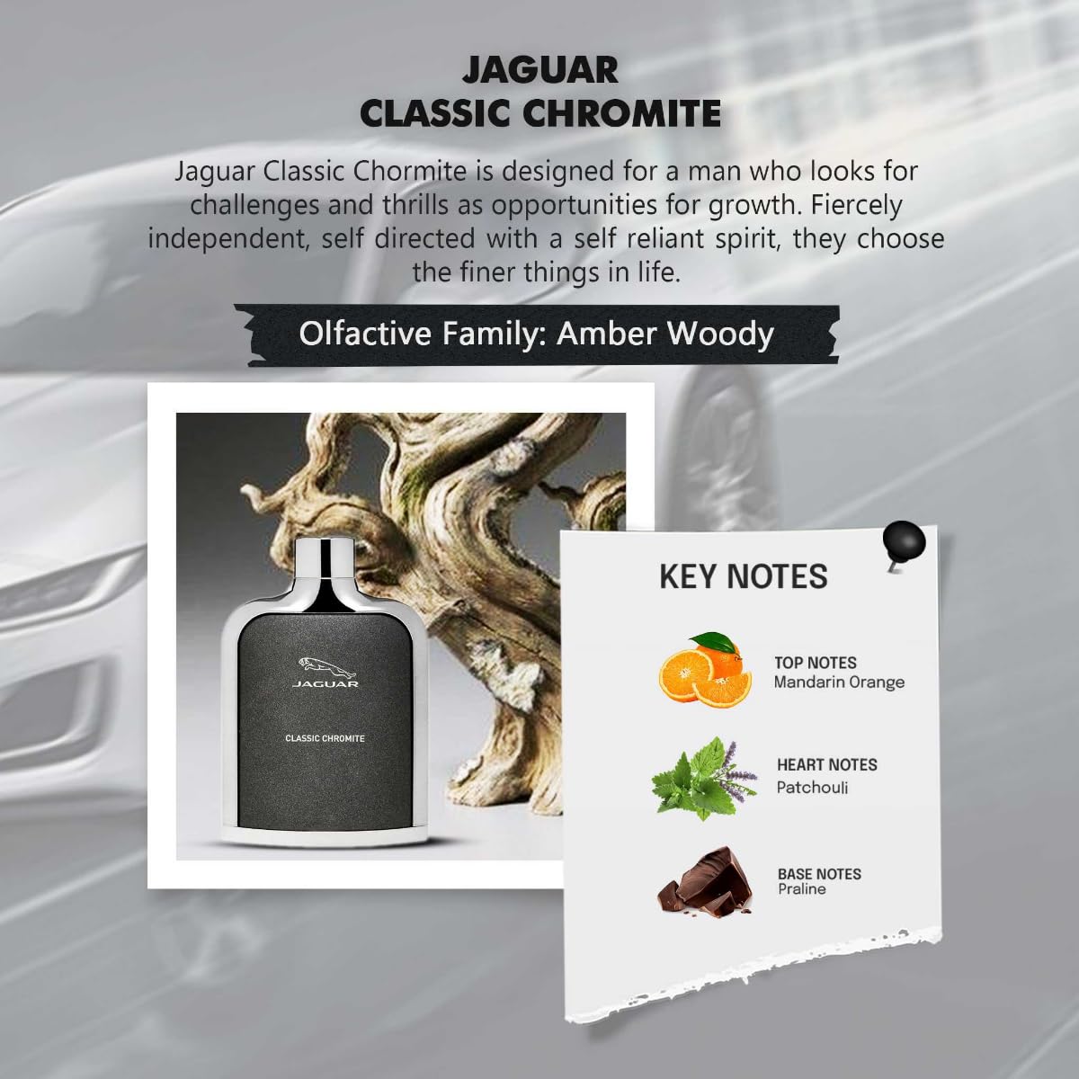 JAGUAR Classic Chromite Eau de Toilette - 100 ml (For Men)