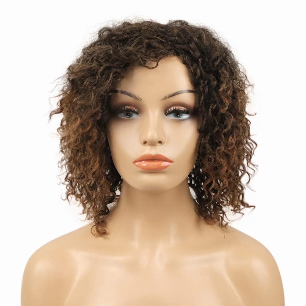Brown#2T30: Wiginway Women Wigs Medium Curly Brown Wigs Synthetic Wig Hairpieces For Women Remy Hair Hair Pieces 8 Inch(#2T30)