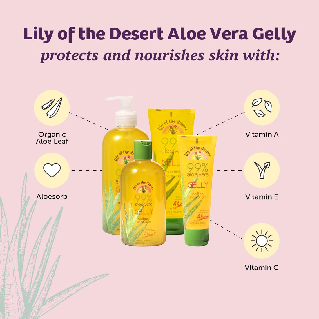 Lily Of The Desert Aloe Vera Gelly {pack of 2}